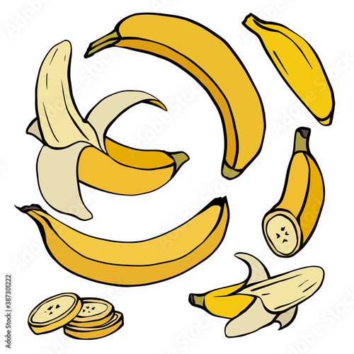 Set of various contour color sketch of bananas. Whole, ripe, banana slices. A tropical juicy treat. Vector colorful outline object for menus, recipes, postcards and your creativity.