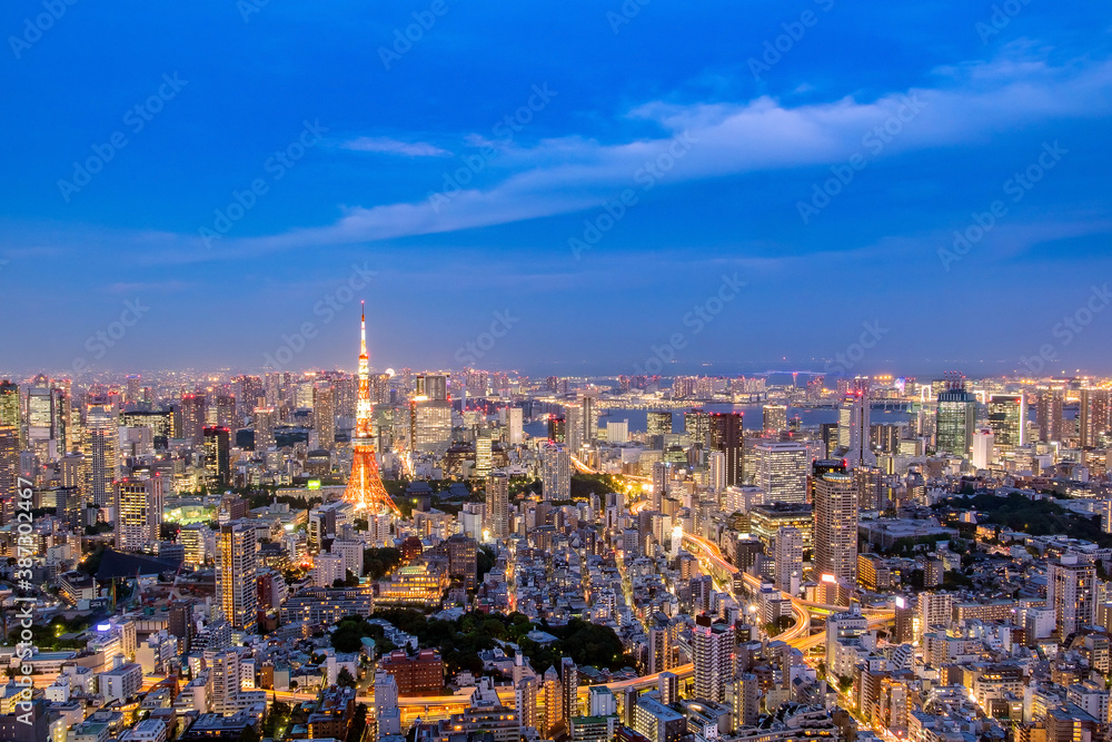 Cityscape of Tokyo skyline, panorama aerial skyscrapers view of office building and downtown in Tokyo in the evening. Japan, Asia...