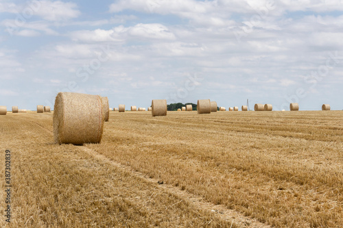 Straw bales stacked in a field at summer time, Reims , France