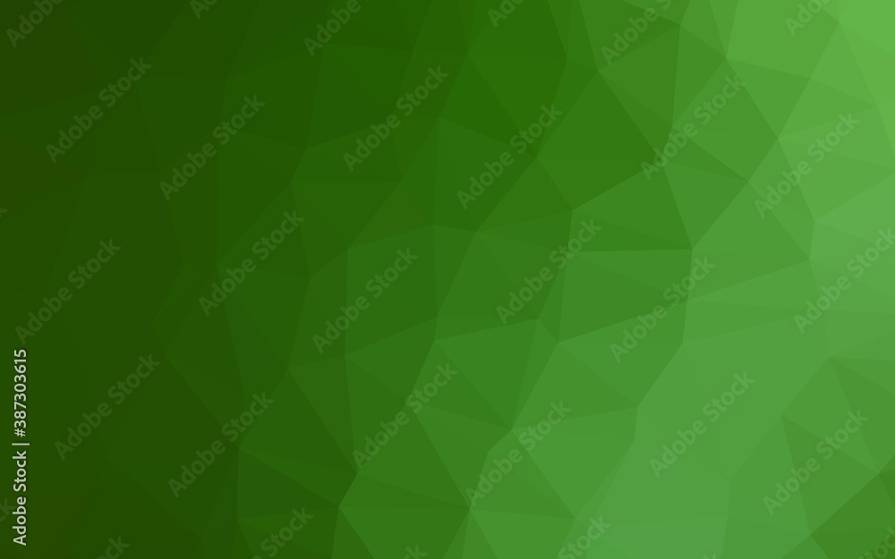 Light Green vector polygon abstract backdrop. Light Green vector polygon abstract backdrop.