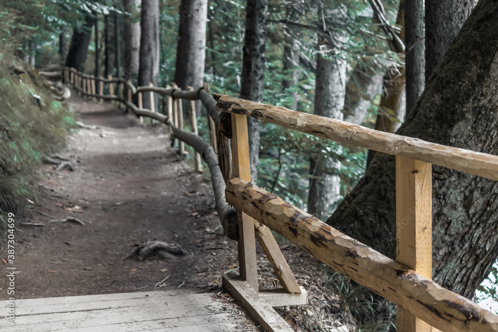 Alpine path with wooden protective handrails among the green forest. Alpine path with wooden protective handrails among the green forest.