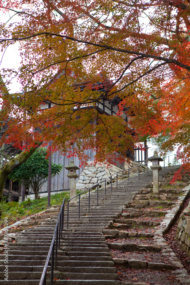 Naklejka premium 三井寺