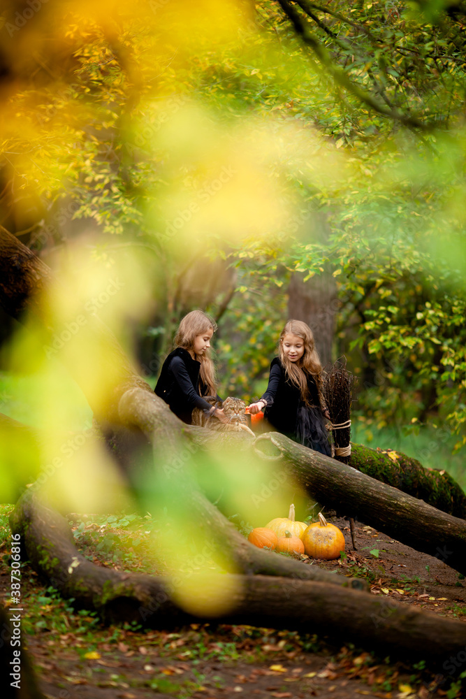 two girls dressed as witches in the park during halloween