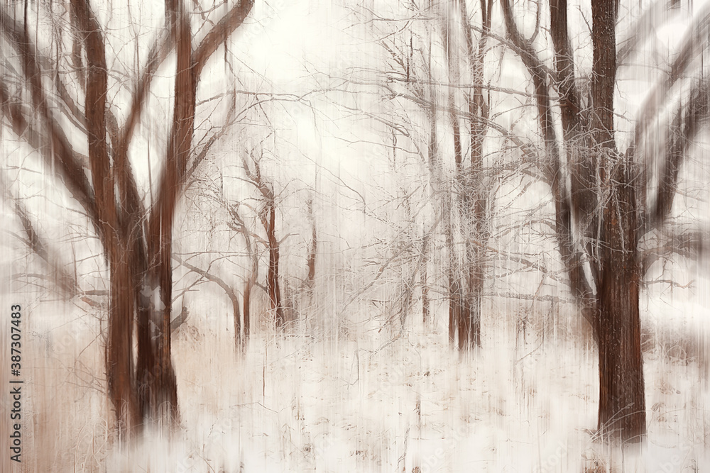 abstract forest blurred winter vertical lines / winter forest background, abstract landscape abstract forest blurred winter vertical lines / winter forest background, abstract landscape