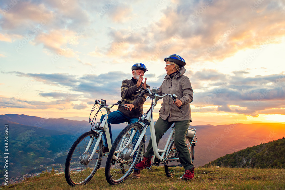 Fototapeta premium Active Senior Couple Riding Bikes In Park