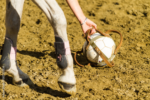 Принти на полотні Horse ball - foot à cheval