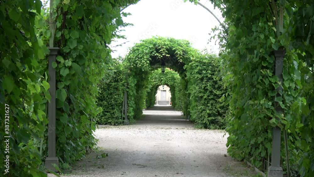 Long beautiful path with pergola in old manor park, Latvia
Long beautiful path with pergola in old manor park, Latvia