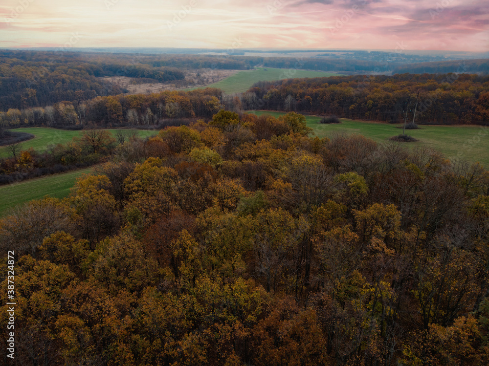 Beautiful Autumn Forest - Top View Beautiful Autumn Forest - Top View