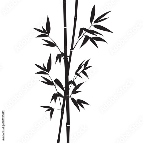 Decorative bamboo branches isolated on white background.