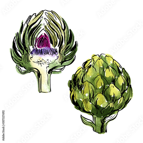 Artichoke. Sketch of food vegetables by line and watercolor.