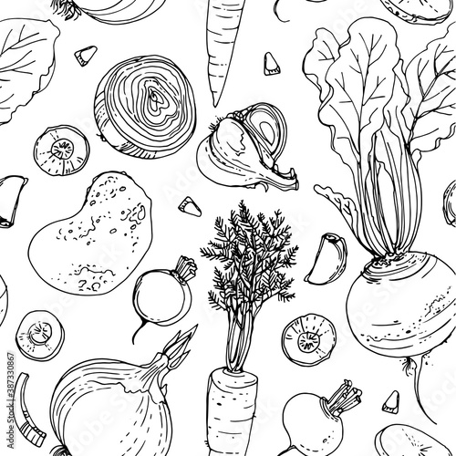 The pattern of painted colored vegetables line drawn on a white background. Skertch autumn harvest. Fresh food.