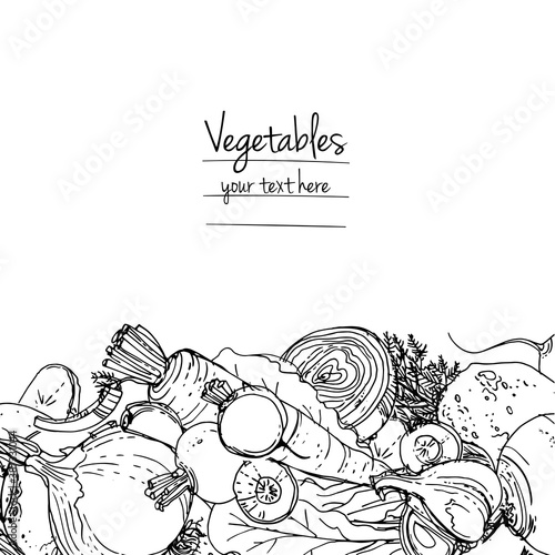 Vegetables. Fresh food. Beets, radishes, carrots, onions, garlic, potatoes line drawn on a white background. Vector illustration.