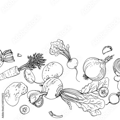Vegetables. Fresh food. Beets, radishes, carrots, onions, garlic, potatoes line drawn on a white background. Vector illustration.