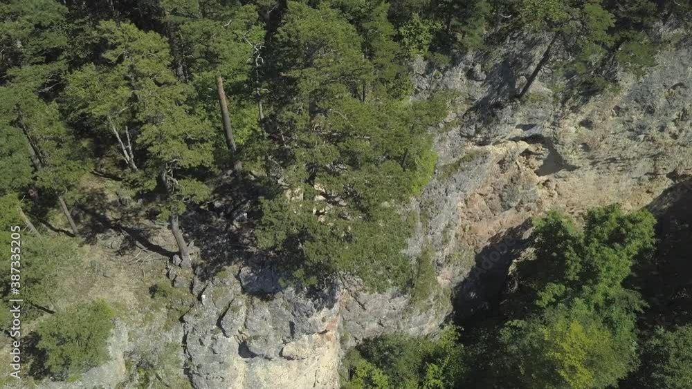 Drone flies near mixed deep forest with high firsor spruce. Beautiful summer landscape with valleys, trees crowns, mountain range Drone flies near mixed deep forest with high firsor spruce. Beautiful summer landscape with valleys, trees crowns, mountain range
