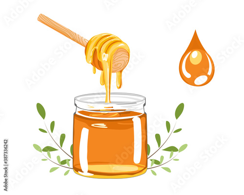 honey in a clear jar and dipper on white back ground vector illustration