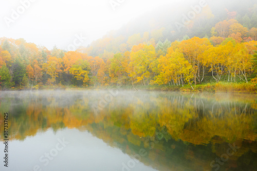 autumn landscape with lake and trees