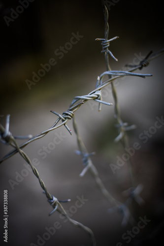 Barbed wire fence