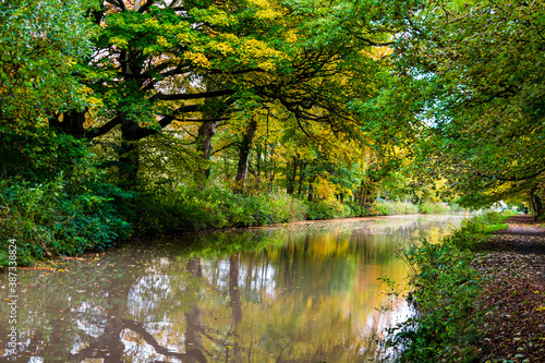 river in the woods