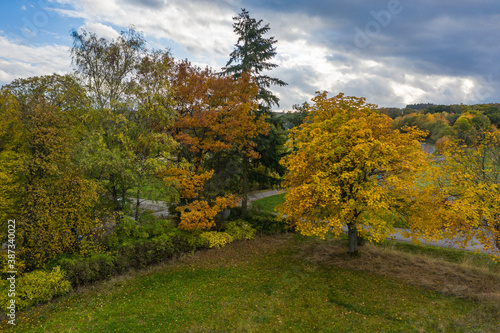 Bird's-eye view of autumn-colored trees in the Taunus / Germany under a cloudy sky