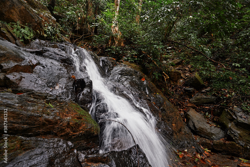 Obraz premium Tropical waterfall. Wet rock. Flowing running stream in green jungle.