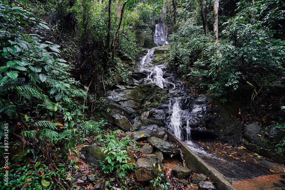 Obraz premium Tropical waterfall. Wet rock. Flowing running stream in green jungle.