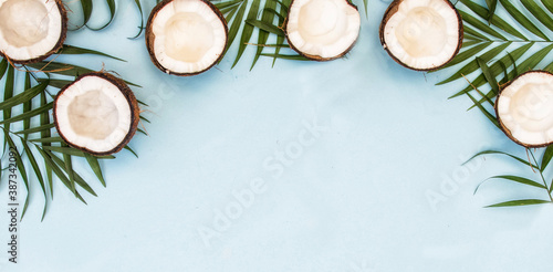 Tropical green leaves palm fronds and coconuts