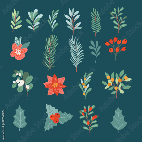 Vector set of winter festive flowers, branches, twig, berries, pines and other greenery flat elements