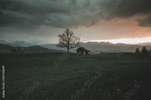 Quadro em tela Frühling im Allgäu