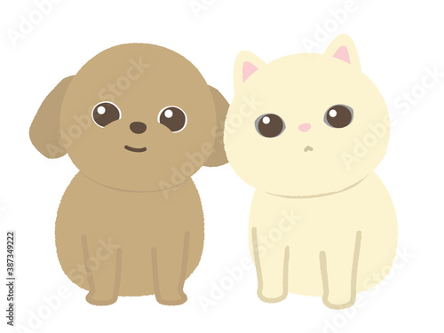 犬と猫 白背景