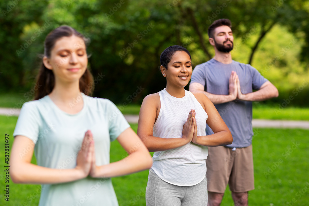 fitness, sport and healthy lifestyle concept - group of happy people doing yoga at summer park fitness, sport and healthy lifestyle concept - group of happy people doing yoga at summer park