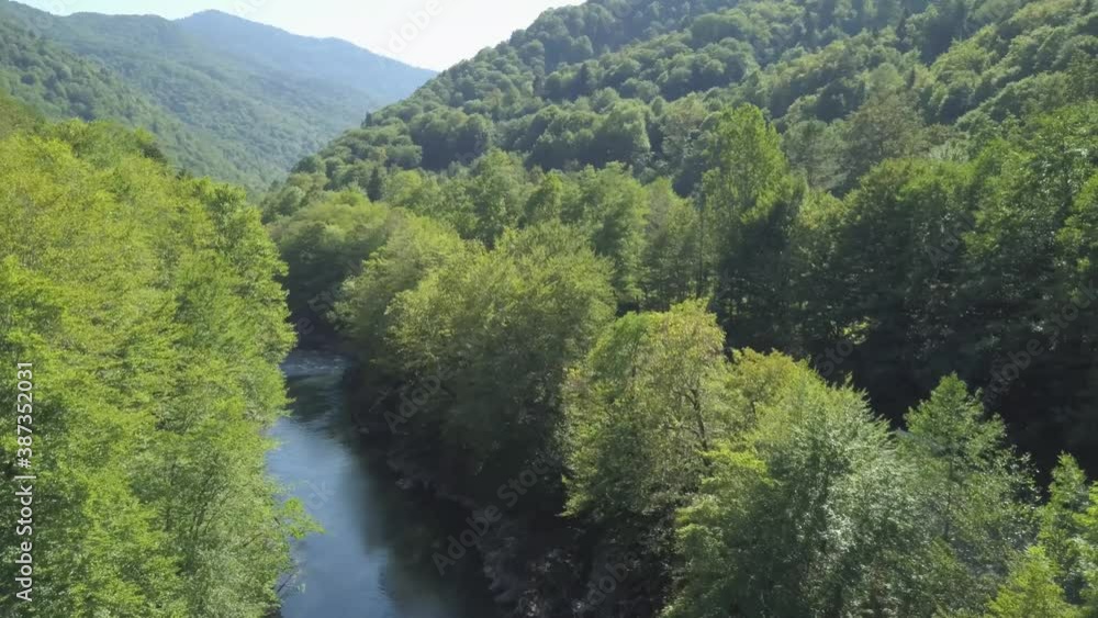 Drone flying over a mountain river or stream with stones along the banks and a lush green colored forest Drone flying over a mountain river or stream with stones along the banks and a lush green colored forest