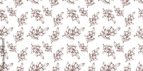 Vector Seamless Outline Drawing Pattern, Argan, Black and White Background, Cosmetic.