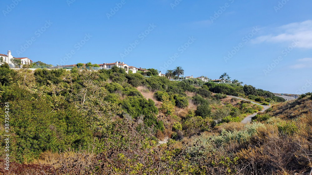 Homes On The Hillside By Newport Beach