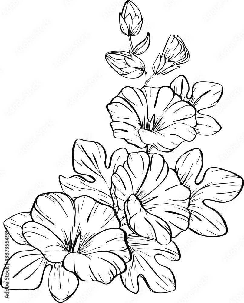 Mallow flower hand-drawn, vector drawing, black and white sketch, tattoo sketch, line illustration, graphics isolated on white background Mallow flower hand-drawn, vector drawing, black and white sketch, tattoo sketch, line illustration, graphics isolated on white background