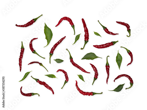 Fresh red hot chili peppers with green leaves on white background. Food pattern. Overhead shot. Knolling concept.