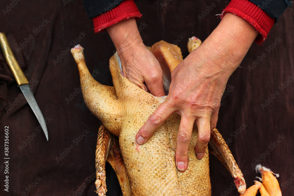 Goose evisceration, part of poultry processing. Removal of innards and  entrails. Stock Photo | Adobe Stock