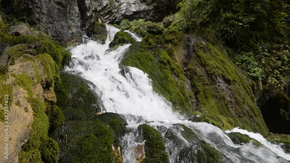 Wild nature waterfall in deep forest. Waterfall Isichenko. Boxwood forest. Mezmay village Wild nature waterfall in deep forest. Waterfall Isichenko. Boxwood forest. Mezmay village