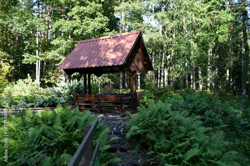 View of a small wooden hut or shack located in the middle of a dense forest or moor and in a close proximity to a swamp or lake seen on a sunny summer day on a Polish countryside