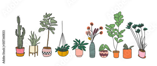 potted plants collection. succulents and house plants. hand drawn vector art. Set of house indoor plant vector cartoon doodle