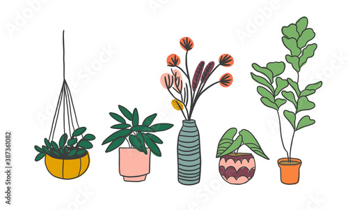 potted plants collection. succulents and house plants. hand drawn vector art. Set of house indoor plant vector cartoon doodle