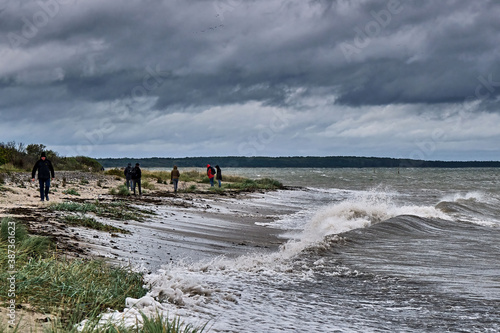 Touristen suchen Bernstein bei Herbstwetter am Steinstrand von Dranske auf der Insel Rügen. photo