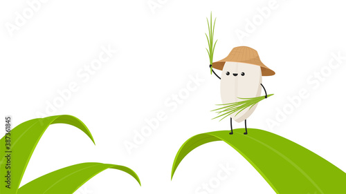 Rice character design. rice vector on white background. rice seed. rice on the leaf.
