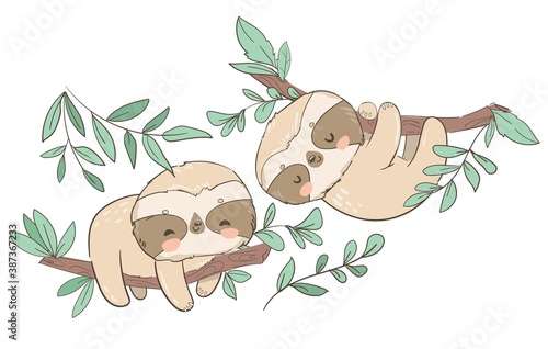 Hand drawn cute animal sloth on the tree vector illustration