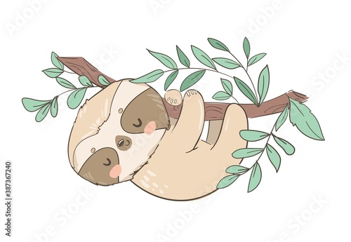 Hand drawn cute animal sloth on the tree vector illustration