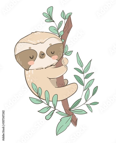 Hand drawn cute animal sloth on the tree vector illustration