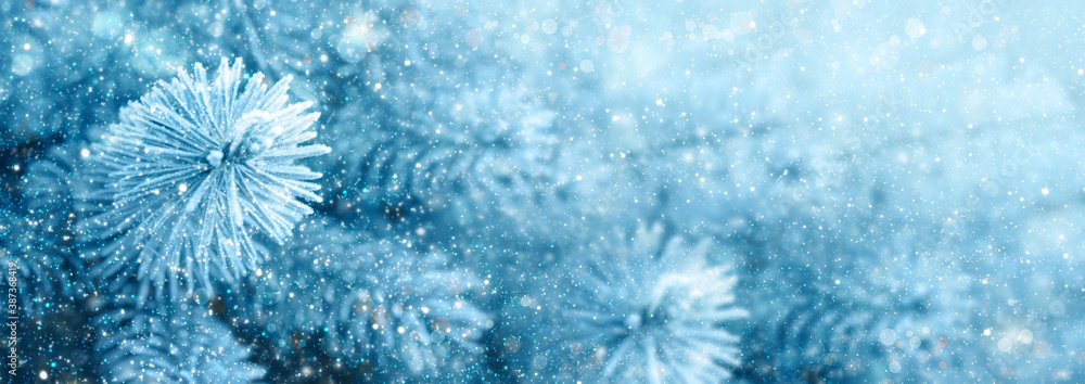 Cristmas background with pine tree branches and snowfall. - obrazy, fototapety, plakaty 