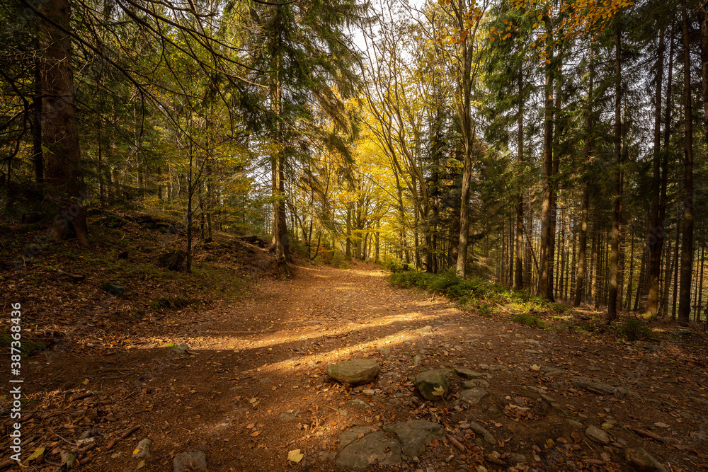 Wandern über kleinen Arber zum kleinen Arbersee und weiter zum großen Arber| Bayerischer Wald | Urlaub | Tourismus