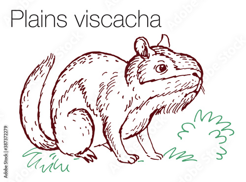 Plains viscacha hand drawn vector illustration photo