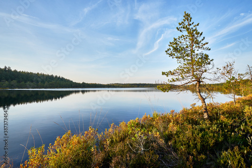 Beautiful lake view in autumn 