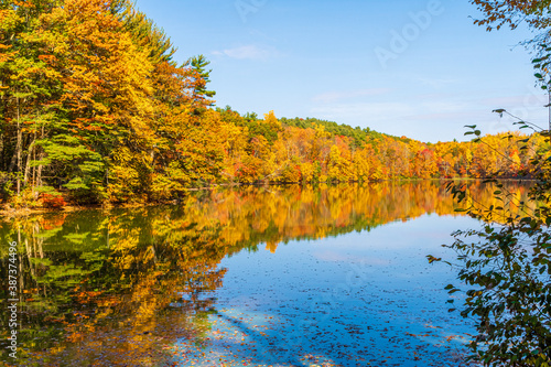 Fall foliage reflected in calm water